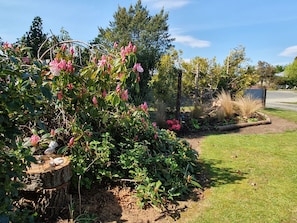 Property grounds - Laybak Retreat -Highly recommended comfortable Kiwi batch (Lake Te Anau)