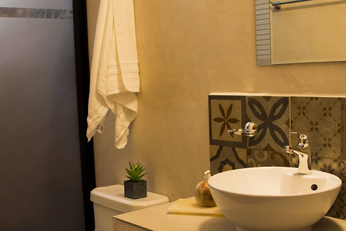 shower, designer toiletries, hair dryer, towels