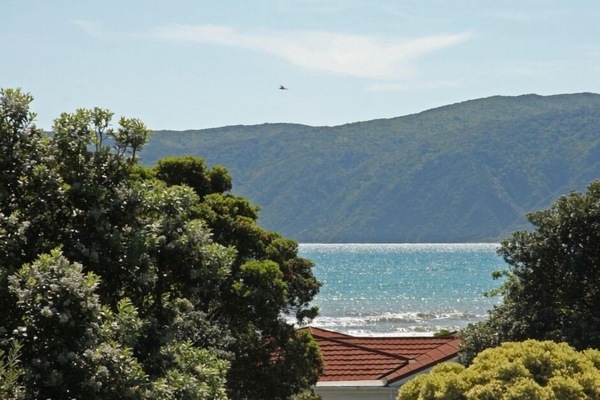 Kapiti Island - Sea View