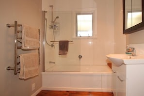 Combined shower/tub, hair dryer, toilet paper