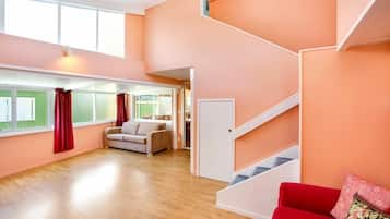 Een smart-tv, een open haard, een dvd-speler en boeken