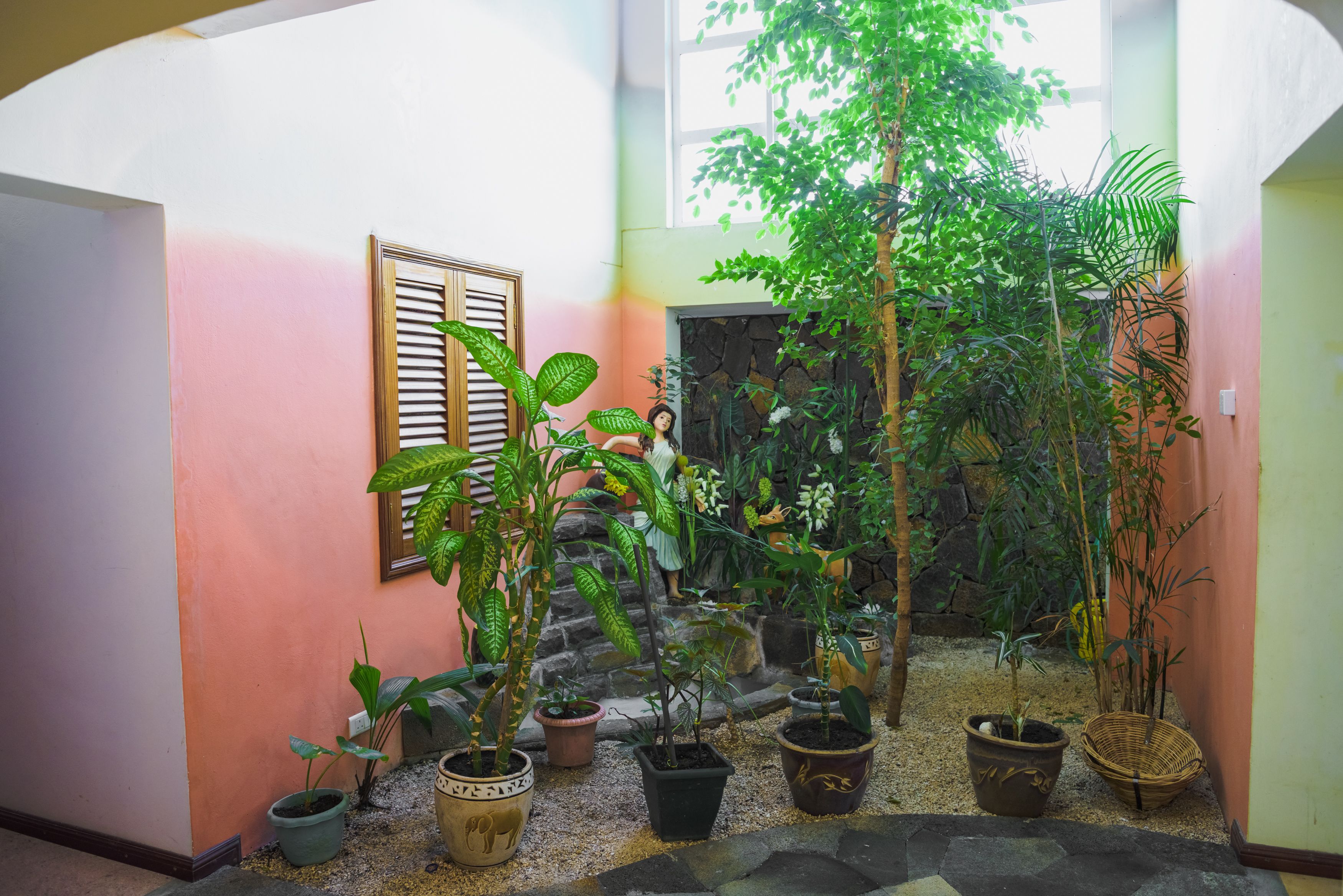 Un estrecho pasillo interior con diversas plantas en macetas, una puerta de madera con contraventanas y una pared de piedra.