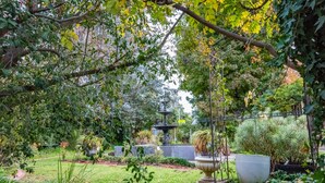 Un jardin avec une fontaine centrale, entouré de différentes plantes et arbres.