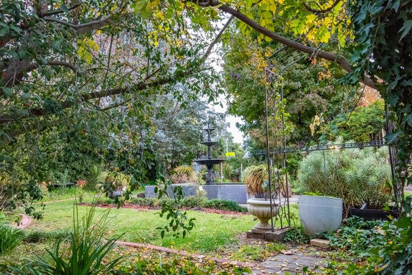 A garden with a central fountain, surrounded by various plants and trees.