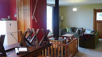 TV, fireplace, DVD player, toys