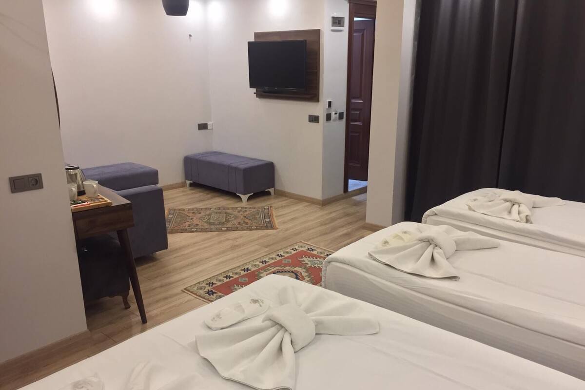 A hotel room with two beds, a desk with a chair, a television, and a small rug.