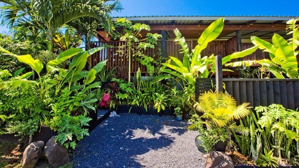 A lush garden with various tropical plants and a gravel path leading to a wooden structure. - Nevaeh Holiday Home + Pool + Unlimited Internet (Tupapa)