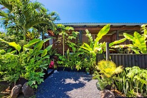 Un exuberante jardín con diversas plantas tropicales y un camino de grava que lleva a una estructura de madera.