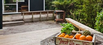 Te Kuru Cabin - Pukawa Bay Holiday Home