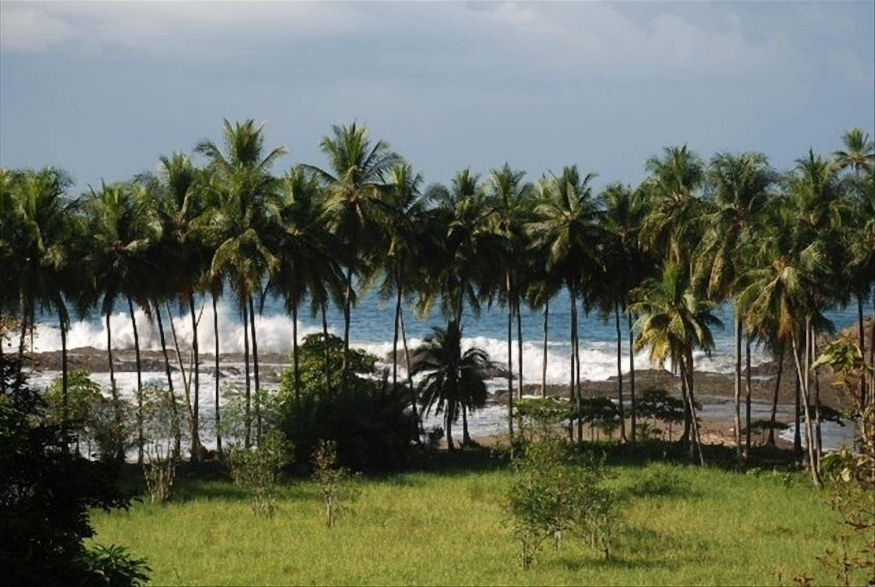 View From Studio of Gorgeous, Palm-lined Beach below - Walk to the beach & enjoy
