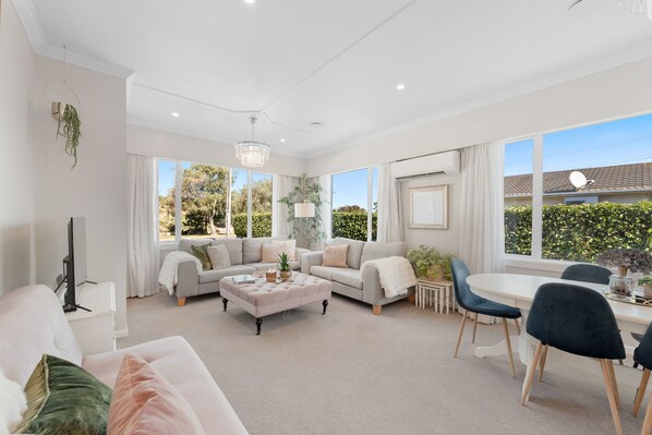 تلفزيون، مشغل دي في دي