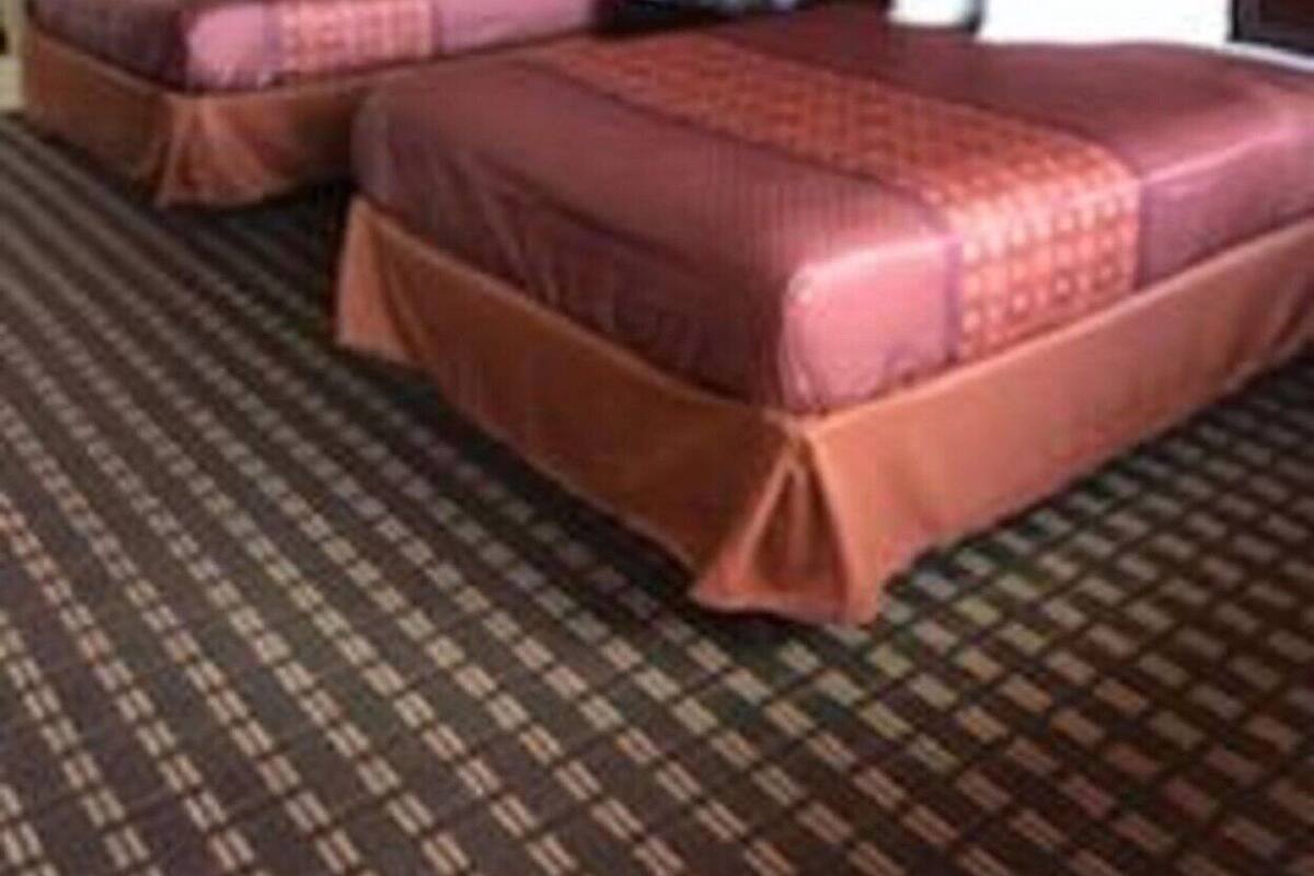 A hotel room with two beds, a patterned carpet, a red wall, and a framed picture.