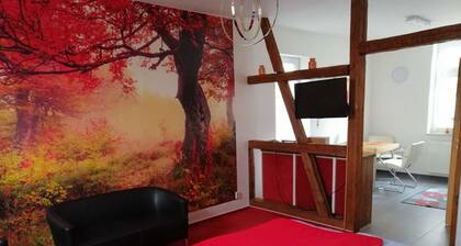 Apartment in Harz 2 persons - Apartment in Harz