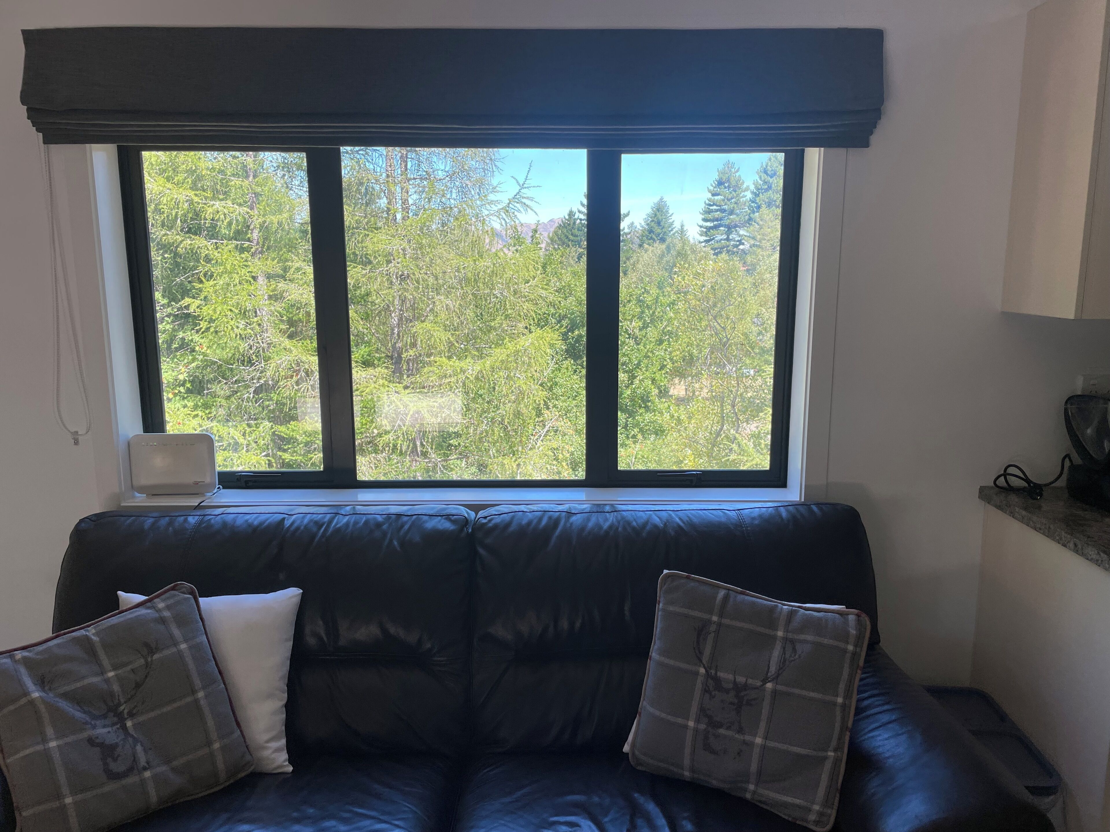 Télévision, cheminée, lecteur de DVD, chaîne hi-fi