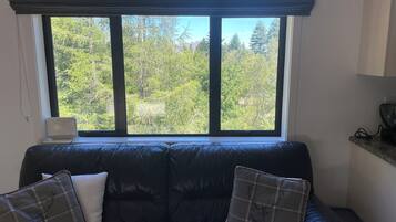 TV, fireplace, DVD player, stereo