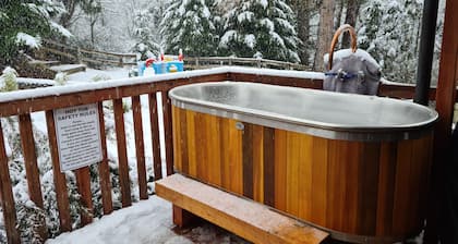 Hanmer Tree House - emplacement unique sur lisiĂšre de la forĂȘt