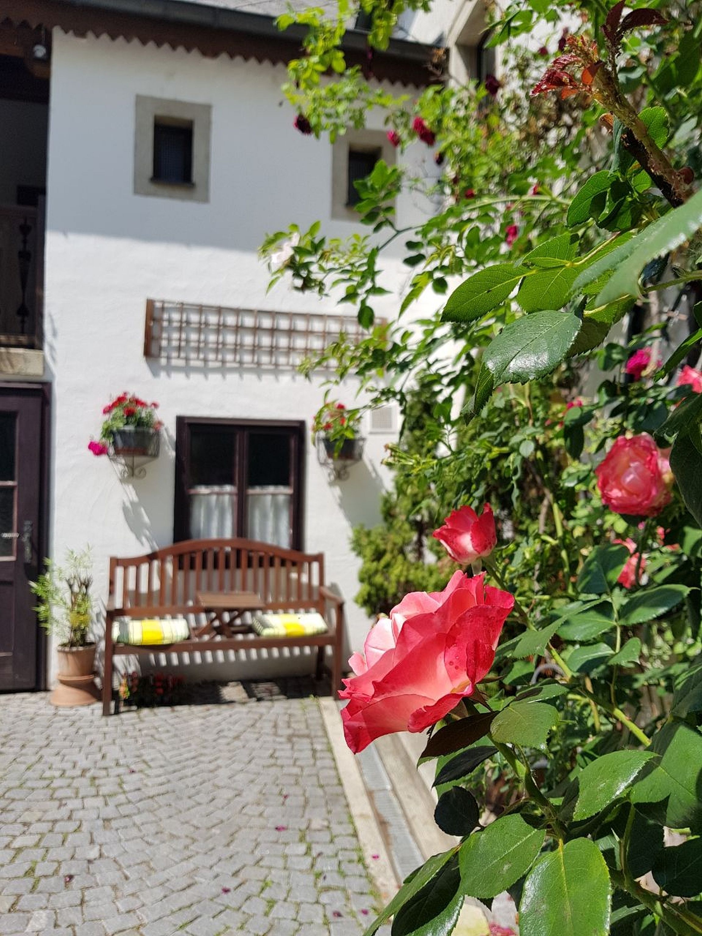 Un sentier pavé de pierres menant à un bâtiment blanc, avec un banc en bois et des plantes en pot.