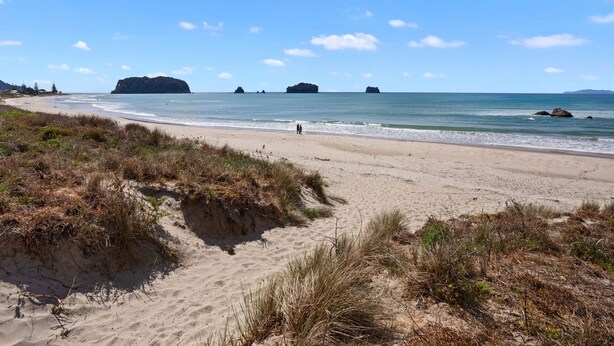 Una playa con dunas de arena, cielo azul despejado y unas islas rocosas a lo lejos.