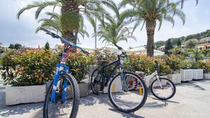 Deux vélos sont garés dans un espace en béton, avec des palmiers et des plantes en pot en arrière-plan.