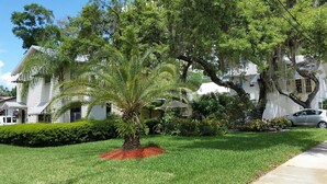 A well-maintained lawn with a palm tree and a small red flower bed in front of a white house with a balcony. - Historic Home/Apt... (Tarpon Springs)
