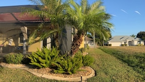 Un quartier résidentiel où se trouve une maison avec un toit recouvert de tuiles rouges, une pelouse bien entretenue et une variété de plantes, dont un palmier et d’autres espèces végétales.