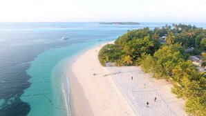 A beach with clear turquoise waters, a sandy shore, and dense palm trees. - Perla Dhangethi (Dhangethi)