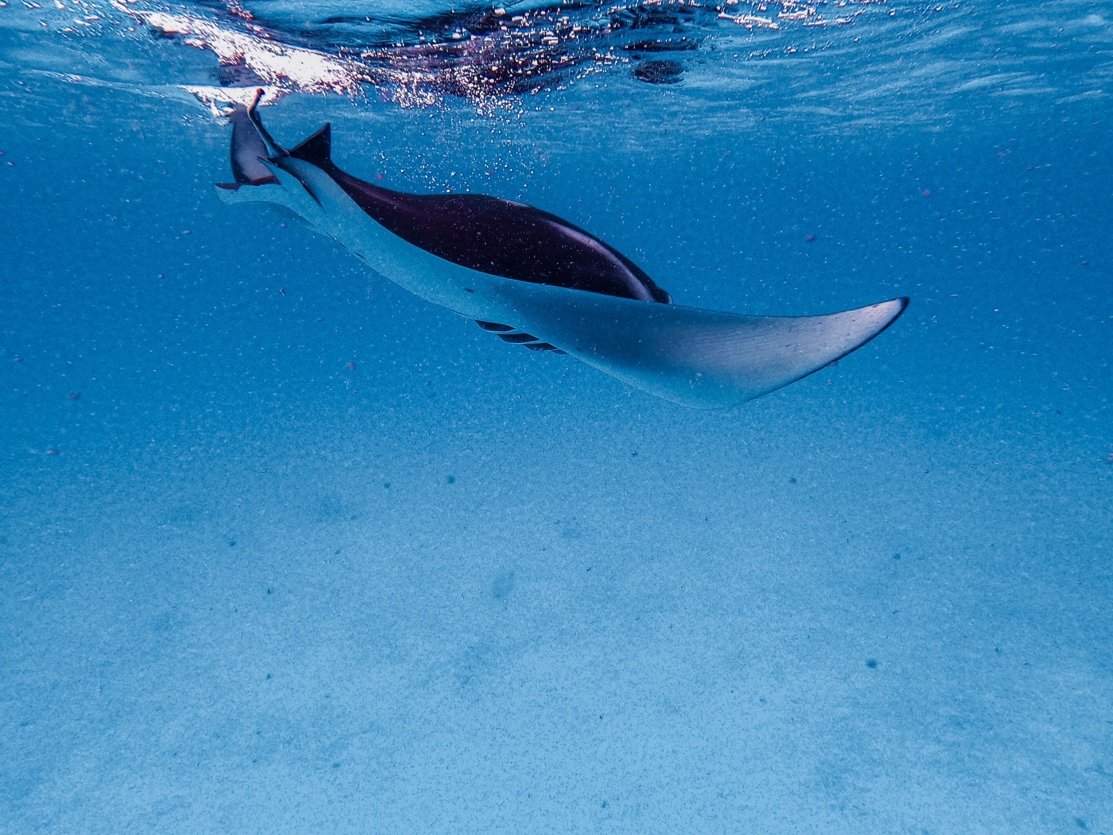 white sand, beach towels