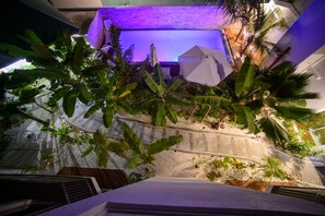 Property grounds - Perla Dhangethi (Dhangethi)