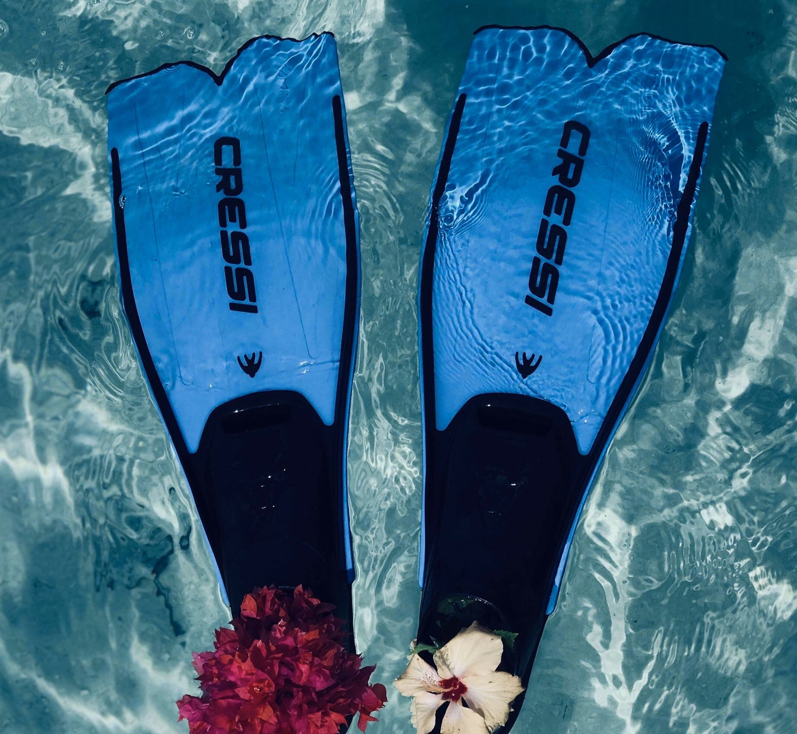 Foto - PERLA Dhangethi