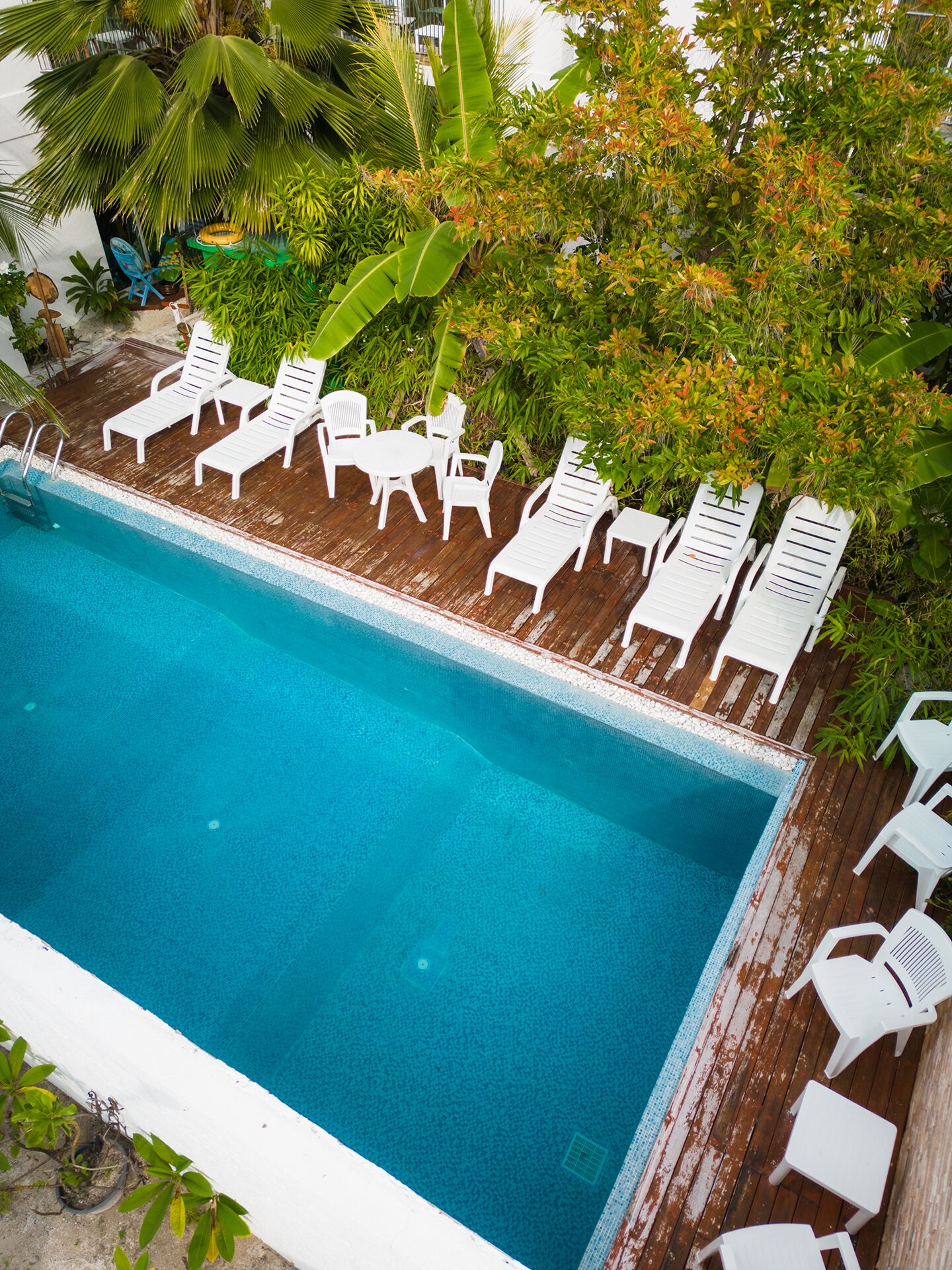 A swimming pool with white lounge chairs and a wooden deck.