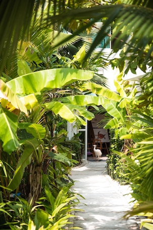 Jardín. Perla Dhangethi