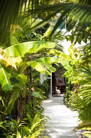 Garden - Perla Dhangethi (Dhangethi)