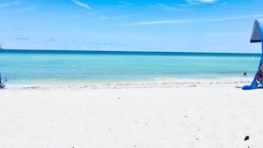Una spiaggia con acque cristalline, una riva sabbiosa e una struttura a tettoia blu.