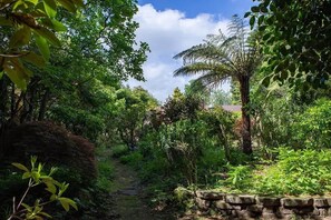 A narrow pathway surrounded by lush greenery and a stone wall. - Mountain Bike Manor - Spa Pool, Sleeps 8, Pets OK (Rotorua)