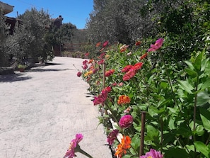 Property grounds - Domu de Palla (Bauladu)