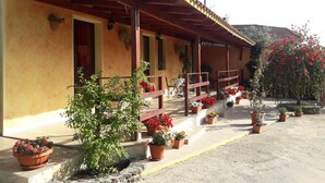 A covered outdoor area with a yellow wall, potted plants, and a red flowering tree. - Domu de Palla (Bauladu)