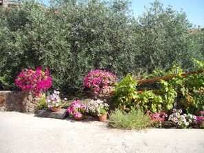 Property grounds - Domu de Palla (Bauladu)