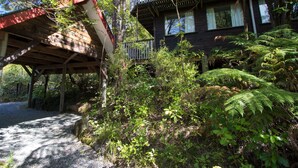 A rustic wooden house with a balcony, surrounded by dense greenery and ferns.