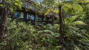 A house surrounded by dense greenery and ferns.