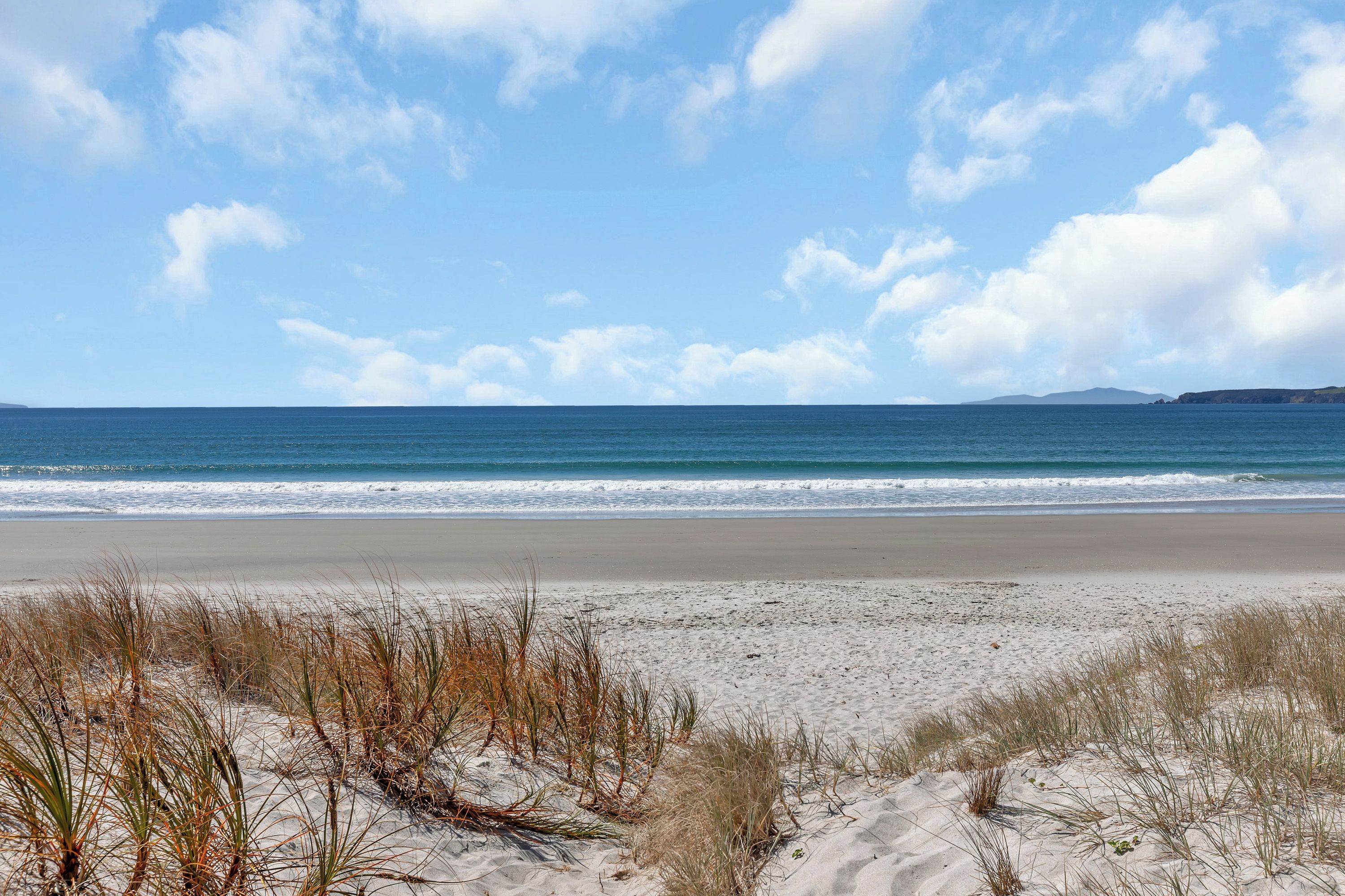 A beach with sand dunes and sparse vegetation.