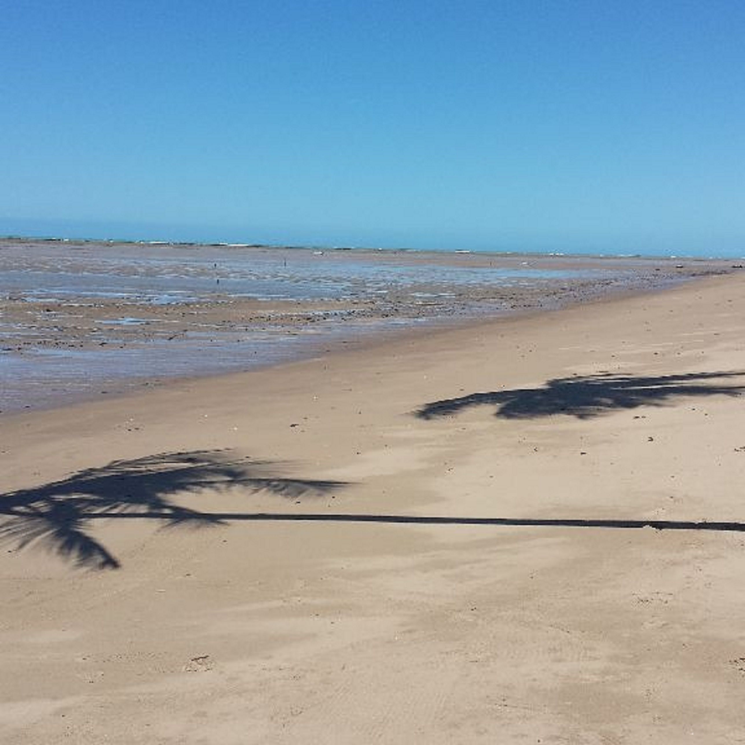 Perto da praia, areia branca, espreguiçadeiras, guarda-sóis 