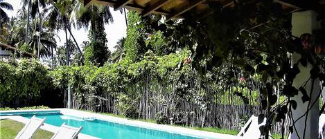 Outdoor pool, sun loungers