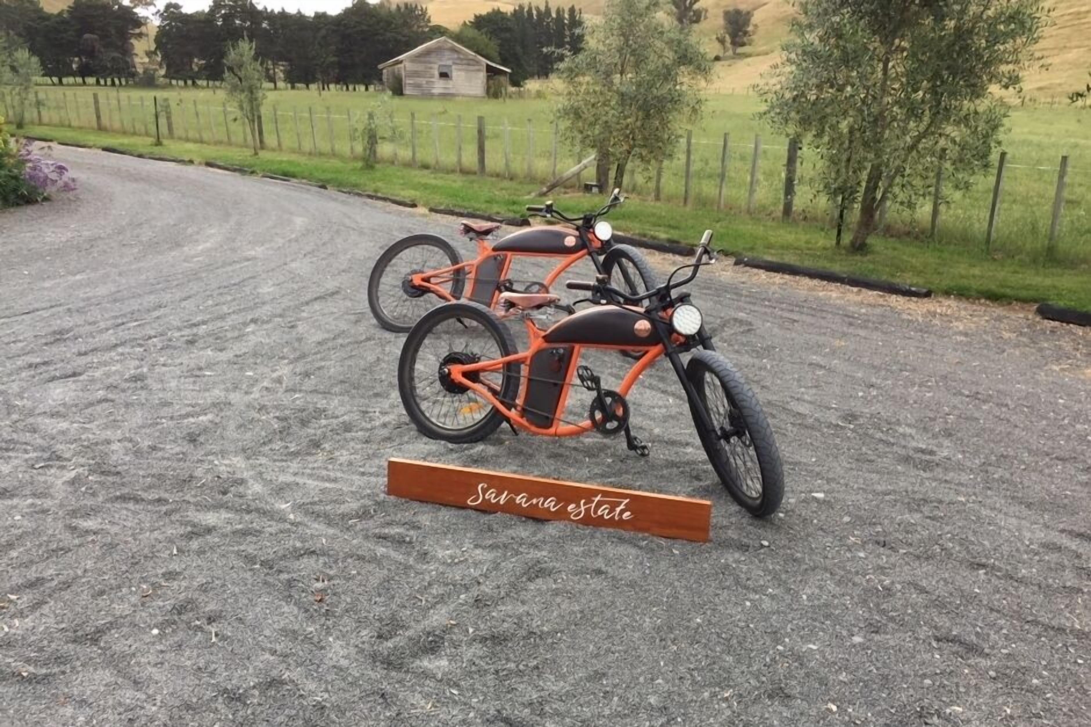 These bikes are for hire
