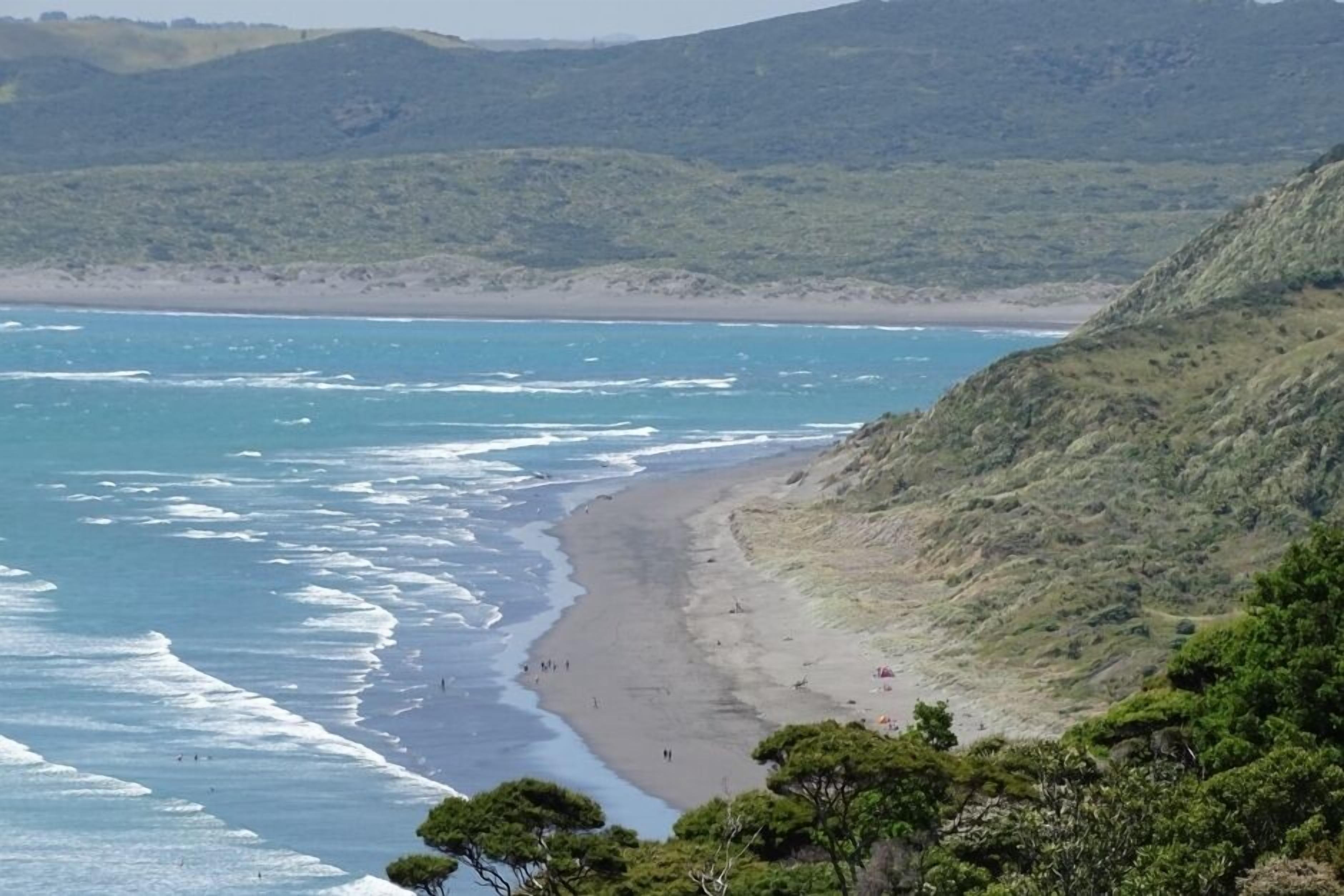 Nearby beach walks