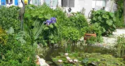 HOUSE PORT DES BARQUES