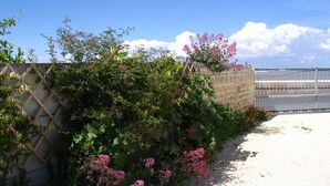 Un jardin avec un mur de pierre, des plantes grimpantes et une clôture en métal.