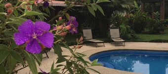 A spacious country villa with private swimming pool for families, friends and couples.