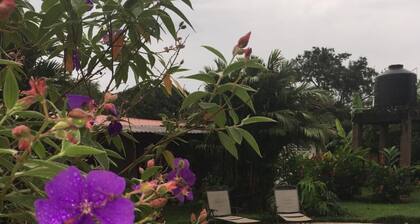Eine geräumige Landvilla mit privatem Pool für Familien, Freunde und Paare.