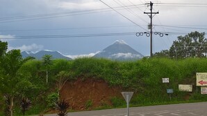 Una carretera con un terraplén cubierto de hierba y una montaña al fondo.