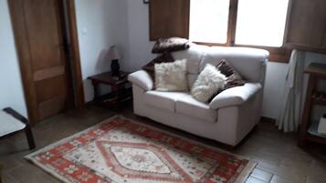 Télévision, lecteur de DVD, table de tennis de table, livres